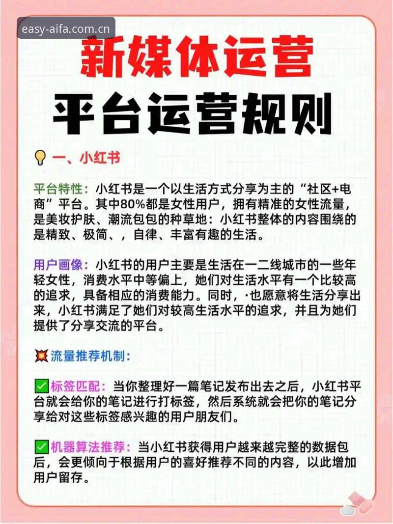 AIFA中文首页实用技巧：省心入口的避坑指南与高效玩法